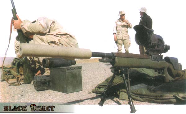 7,62мм DMR M14